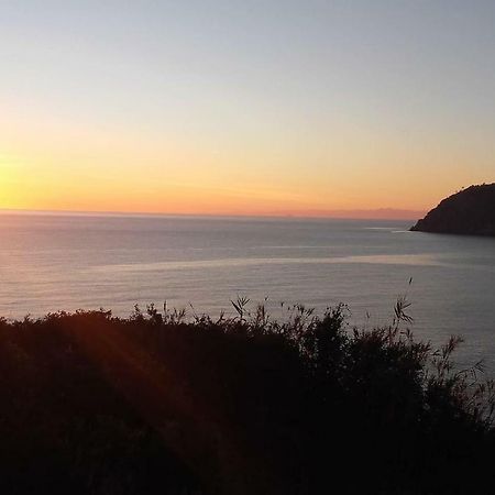 モネーリア Un Gioiello Con Vista Mareヴィラ エクステリア 写真