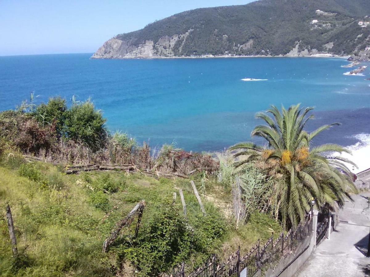 モネーリア Un Gioiello Con Vista Mareヴィラ エクステリア 写真